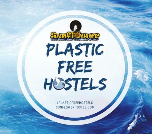 Sunflower Backpacker & Bar Rimini